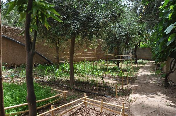 A Secret Garden Hotel Tinghir Exterior foto